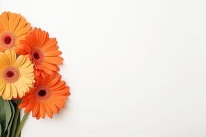 AI generated Top view a flowers in the corner side on white background copy space photo
