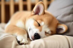 AI generated Charming Puppy Sleeps Peacefully photo