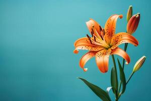 AI generated Close up of orange lily on teal backdrop with bokeh and gentle blur photo