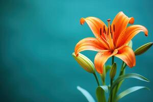 AI generated Close up of orange lily on teal backdrop with bokeh and gentle blur photo
