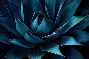 AI generated Dark blue toned abstract background with an agave cactus photo