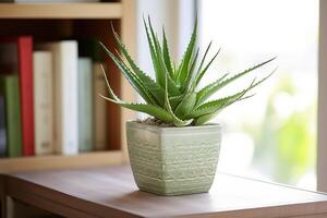AI generated Decorating style with a potted Aloe vera succulent photo