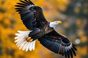 ai generado majestuoso águila altísimo alto foto