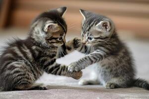 ai generado par de juguetón gatitos comprometido en un simpático lucha partido foto