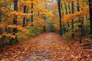 AI generated Autumn Leaves on Forest Path photo