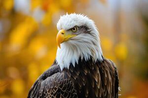 AI generated Shot of an eagle stoic gaze epitomizing the spirit of the untamed wilderness photo