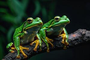 ai generado dos verde ranas en un árbol rama con oscuro antecedentes foto