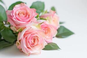 ai generado rosado rosas con hojas en el blanco antecedentes foto