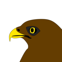 close up of an eagle's head png