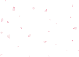 Falling Sakura Petals png