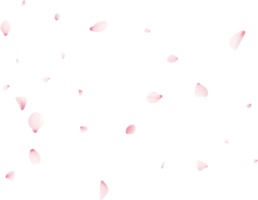 Falling Sakura Petals png