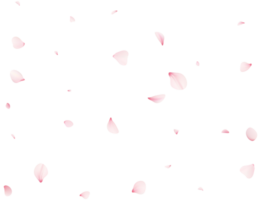 vallend sakura bloemblaadjes png