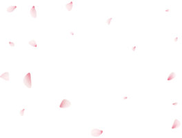 vallend sakura bloemblaadjes png