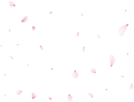 vallend sakura bloemblaadjes png