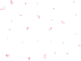 vallend sakura bloemblaadjes png