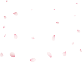 Falling Sakura Petals png