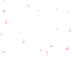 vallend sakura bloemblaadjes png