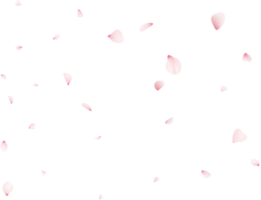 vallend sakura bloemblaadjes png