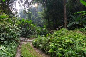 Float along the path of the car ferry crossing the watercourse from Chae Son Waterfall. Sixth level waterfall. Covered with grass and dense forest. At Chae Son National Park Thailand. photo