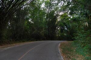 Curved uphill path of asphalt road. Both sides of the road are filled with tall trees and bamboo forests. At Chae Son National Park Thailand. photo