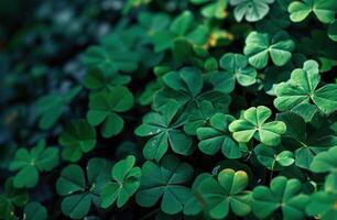 AI generated a green background with shamrock plants, shamrock clip art, and photo