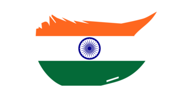 grunge borsta stroke flagga av Indien png