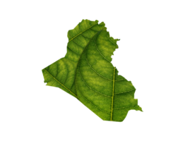 Iraq map made of green leaves ecology concept png