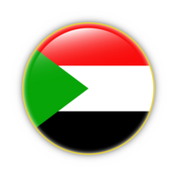 Palestine flag with yellow frame free PNG flag image With transparent background - National Flag