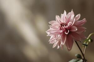 AI generated a small single pink flower is set against a beige background photo