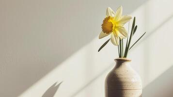 AI generated A minimalistic photo of a single daffodil in a vase against a white background