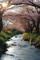 AI generated a tranquil river flowing through a blossoming cherry blossom tree grove photo