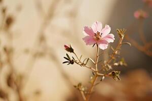 AI generated a small single pink flower is set against a beige background photo