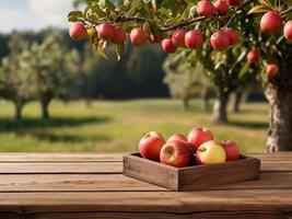 AI generated Rustic Wooden Table with Apple Orchard Backdrop, Product Display Template photo