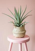 AI generated basket planter set on top of a pink stool photo