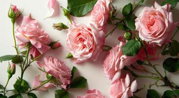 AI generated an arrangement of pink roses with green leaves on pink paper, photo