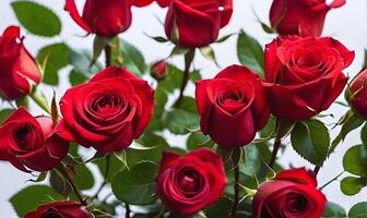 AI generated Valentine s Day arrangement of small red roses with green stems and leaves. photo