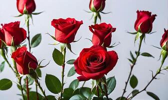 AI generated Valentine s Day arrangement of small red roses with green stems and leaves. photo