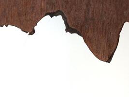 agrietado madera grano en mesa blanco antecedentes foto
