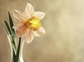 ai generado rosado narciso flor en un claro florero con un beige antecedentes foto