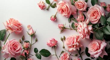 AI generated pink roses in a frame against a white background photo