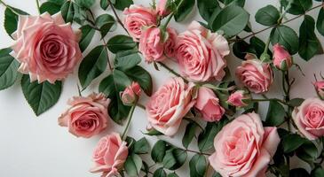 AI generated pink roses with green leaves arranged in a box on white photo