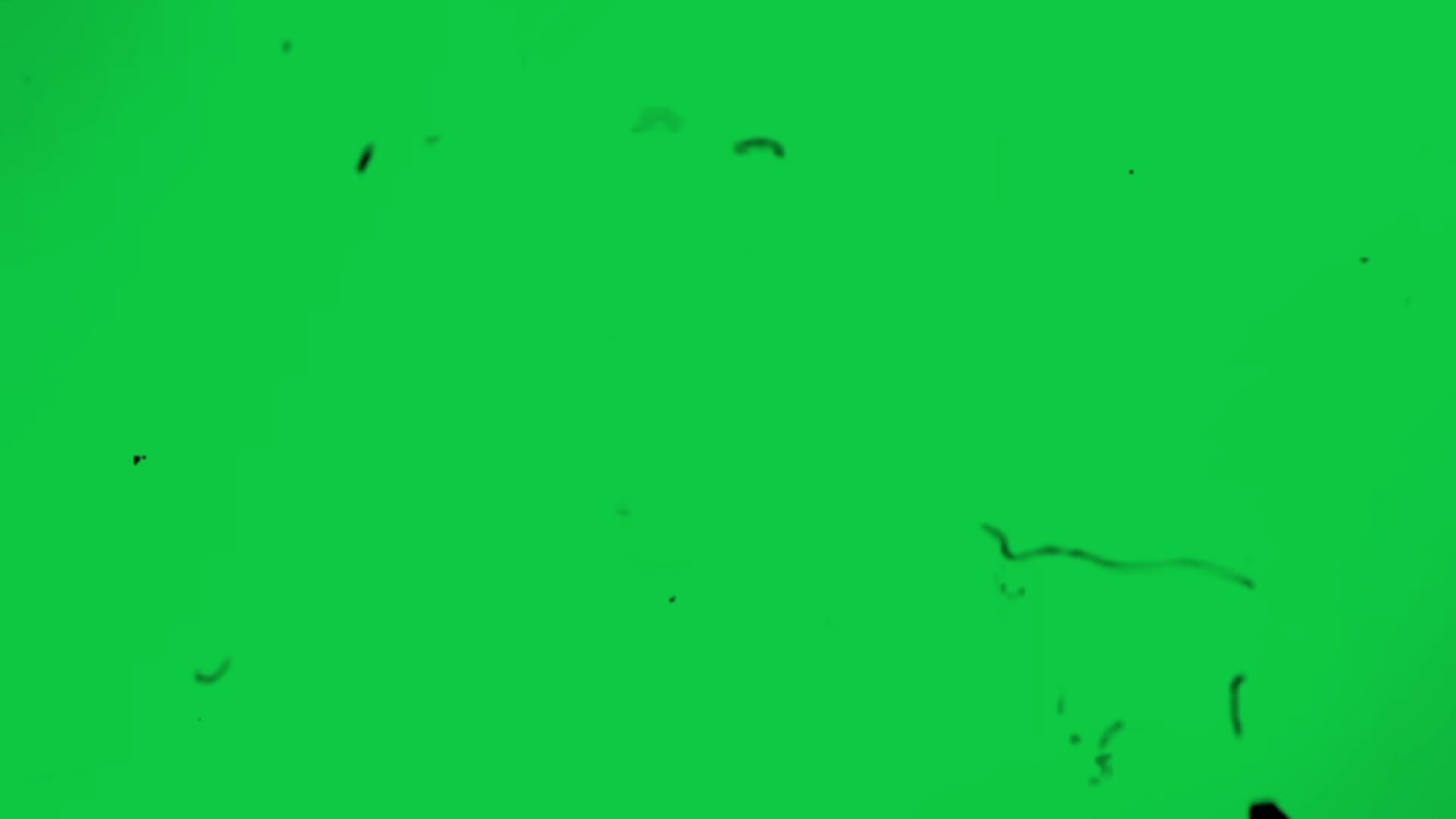 Vintage old film grain black dust VHS effect animation overlay on green