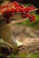 a bowl of red currants on a table photo