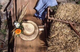 a hat and a flower on a wooden table photo