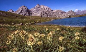 un lago rodeado por flores silvestres y montañas foto