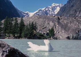 a large rock in the water photo