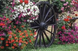 a wagon with flowers on it photo