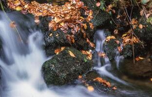 a waterfall with leaves on the rocks photo