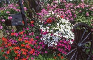 a wagon full of flowers is parked in front of a building photo