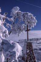 un cruzar es cubierto en nieve en un colina foto